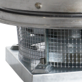 49 cthb4_600_600.png
