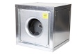 099.jpg