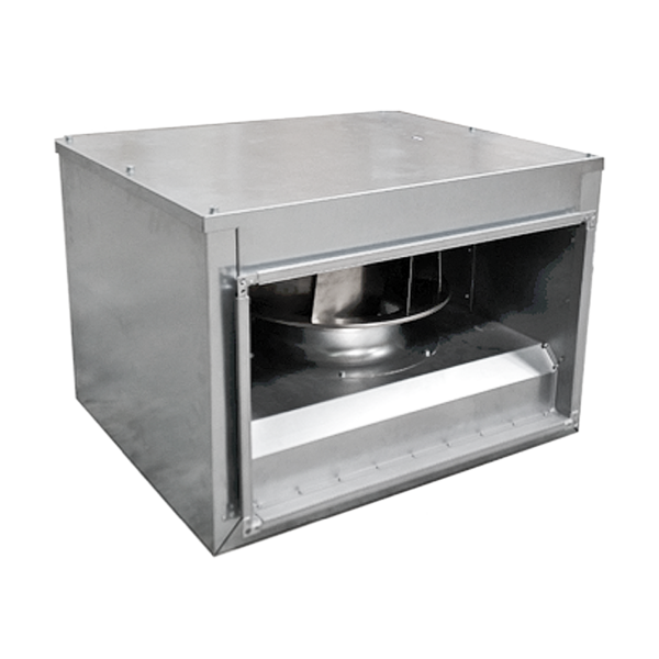 60 ibf-i_600_600.png